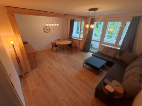 Apartament Krynica